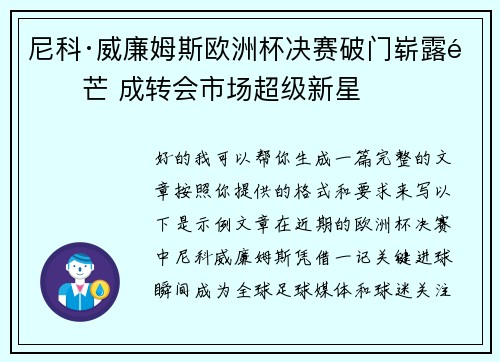 尼科·威廉姆斯欧洲杯决赛破门崭露锋芒 成转会市场超级新星