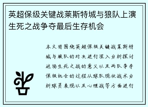 英超保级关键战莱斯特城与狼队上演生死之战争夺最后生存机会